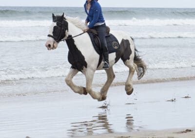 horseback-riding-Ireland