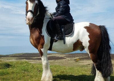 horseback-riding-ireland