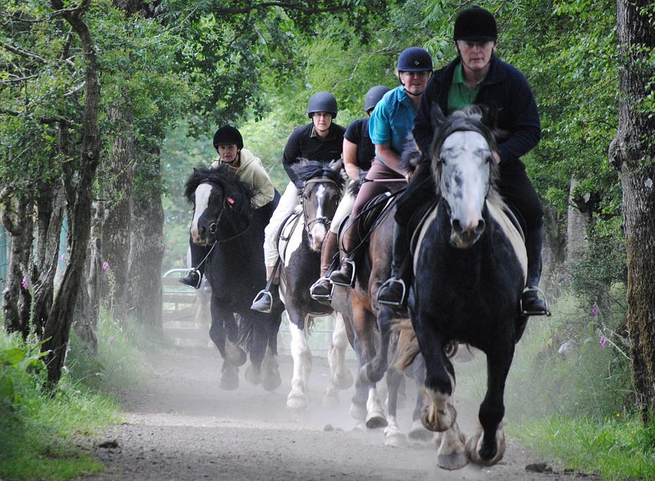 horse-riding-hacking-belfast-derry