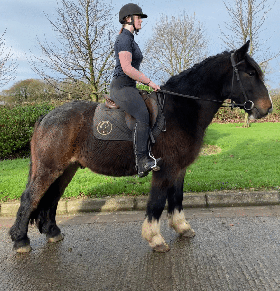 horse riding holidays ireland cahir