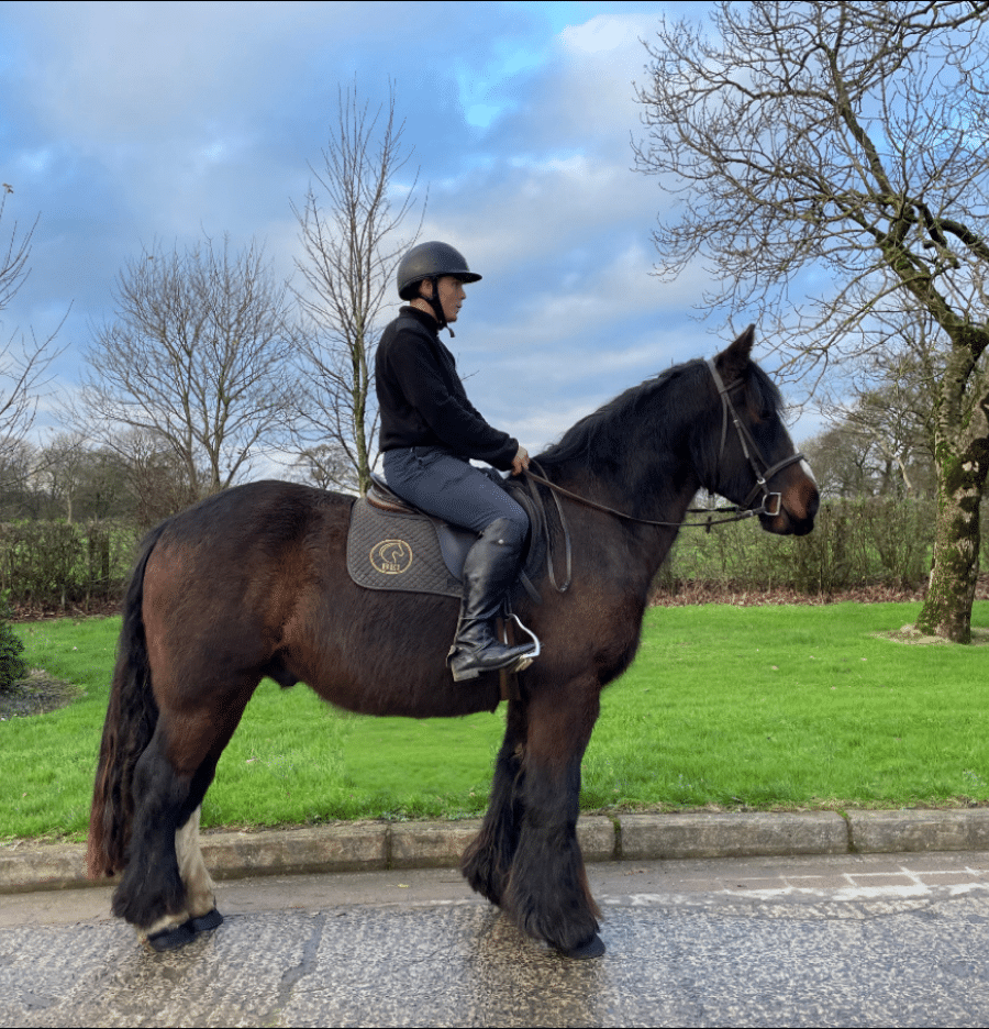 horse riding holidays ireland cahir