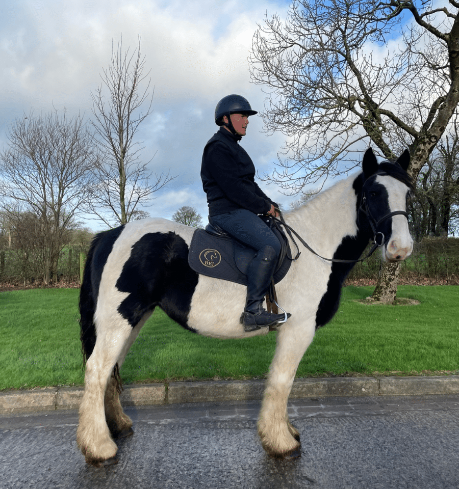 horse riding holidays ireland cahir