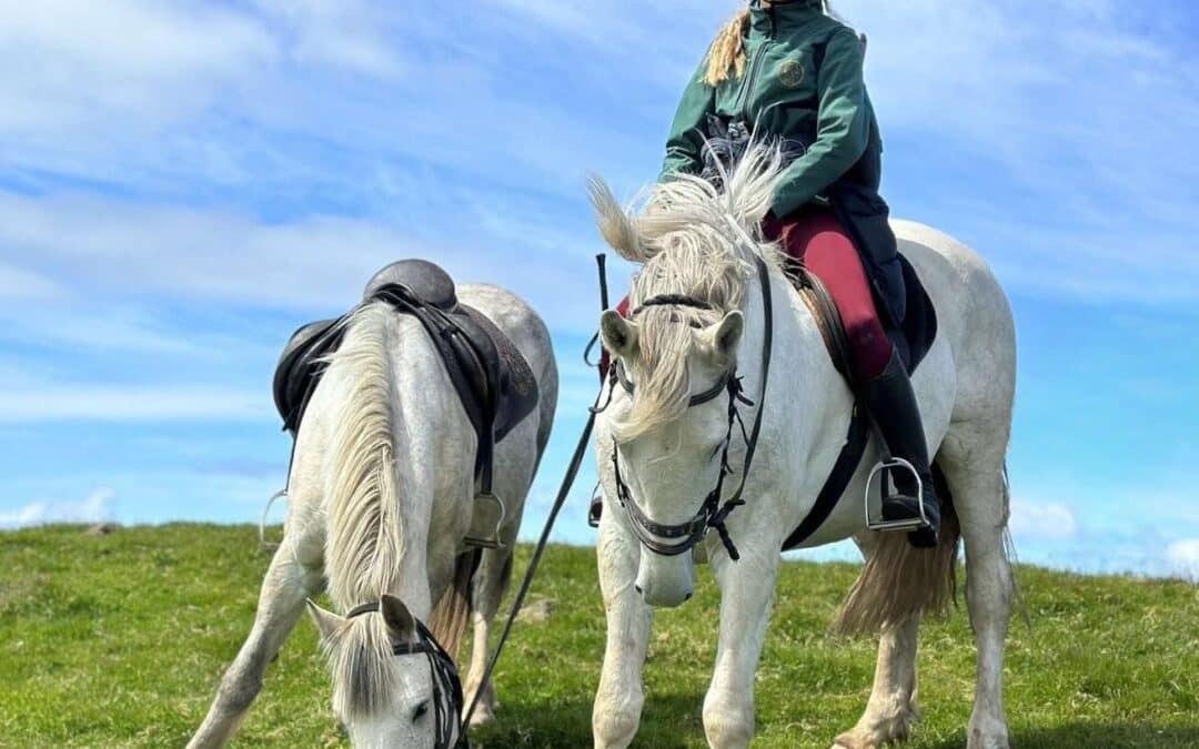 February 2026 Newsletter