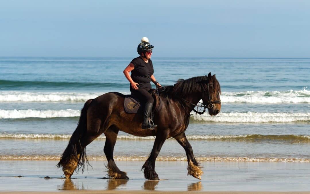 Riding solo – your guide to joining a BEI holiday as a solo rider